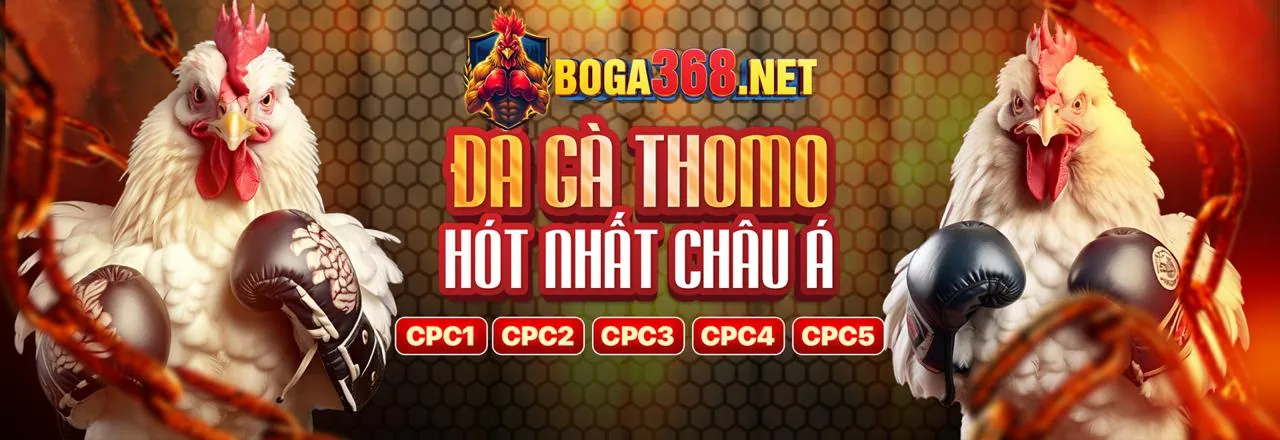 Đấu Gà Trực Tuyến sun20