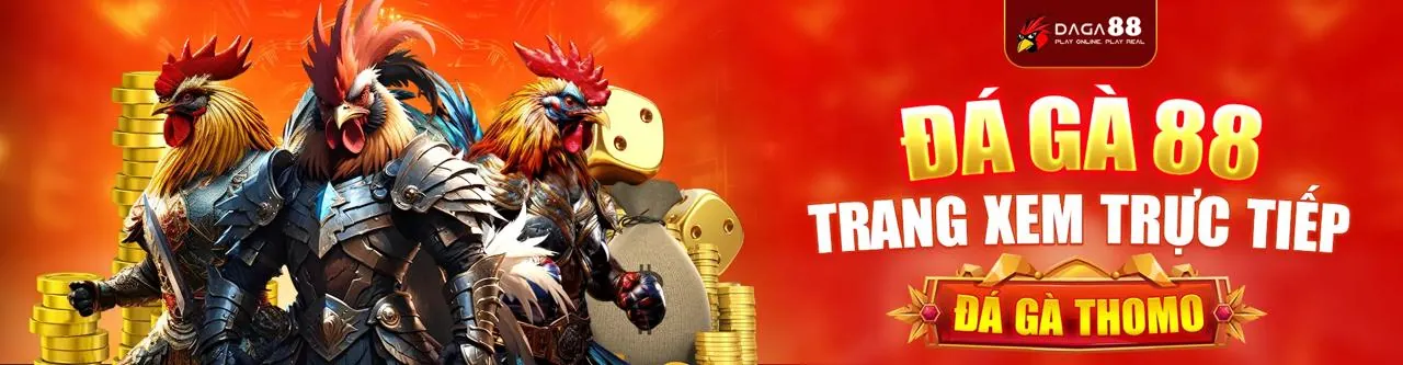 Hình ảnh banner chính sách cookie sun20